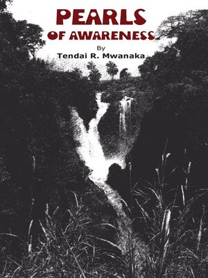 cover image of Pearls of Awareness